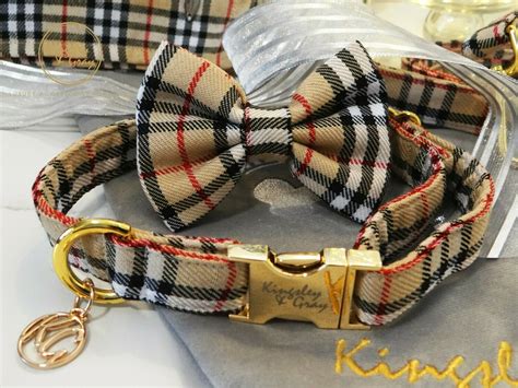 burberry dog collar real